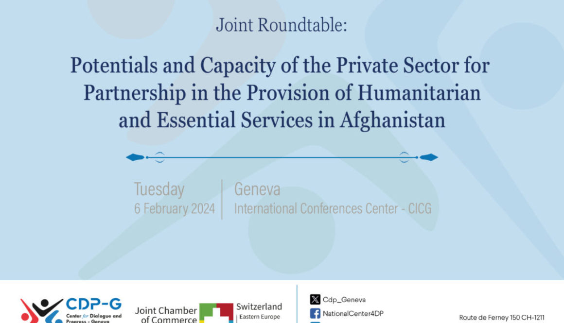 Joint Roundtable: Private Sector