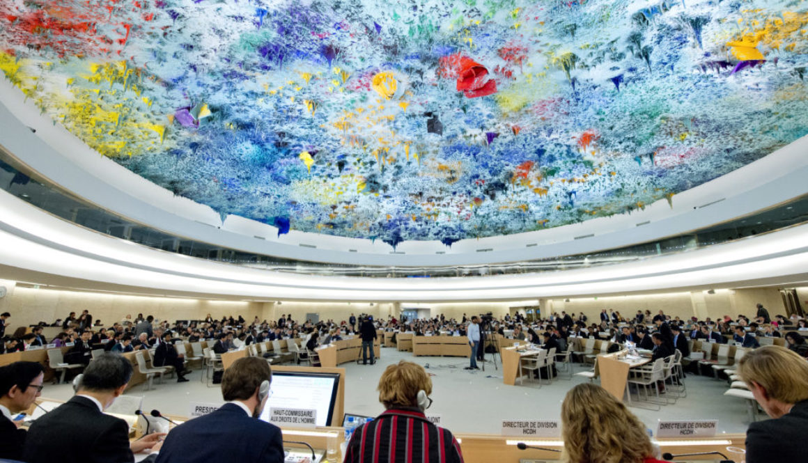 Human Rights Council
