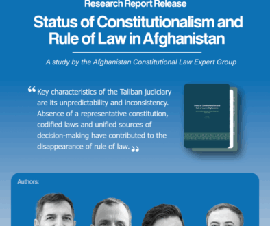 v3 Const Expert Group